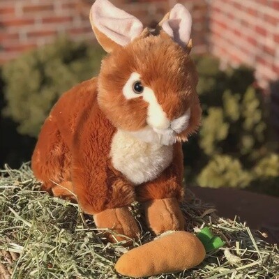 Toffee Brown Bunny