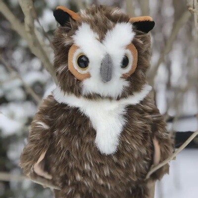 Great Horned Owl