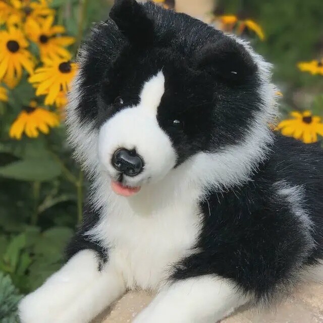 Border Collie Stuffed Animal