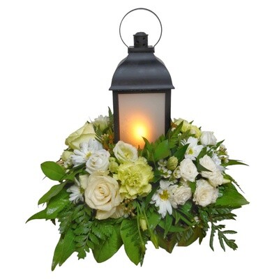 Light of Hope