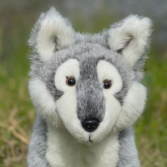 Tundra Timber Wolf