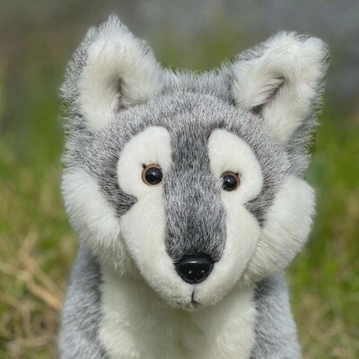 Tundra Timber Wolf