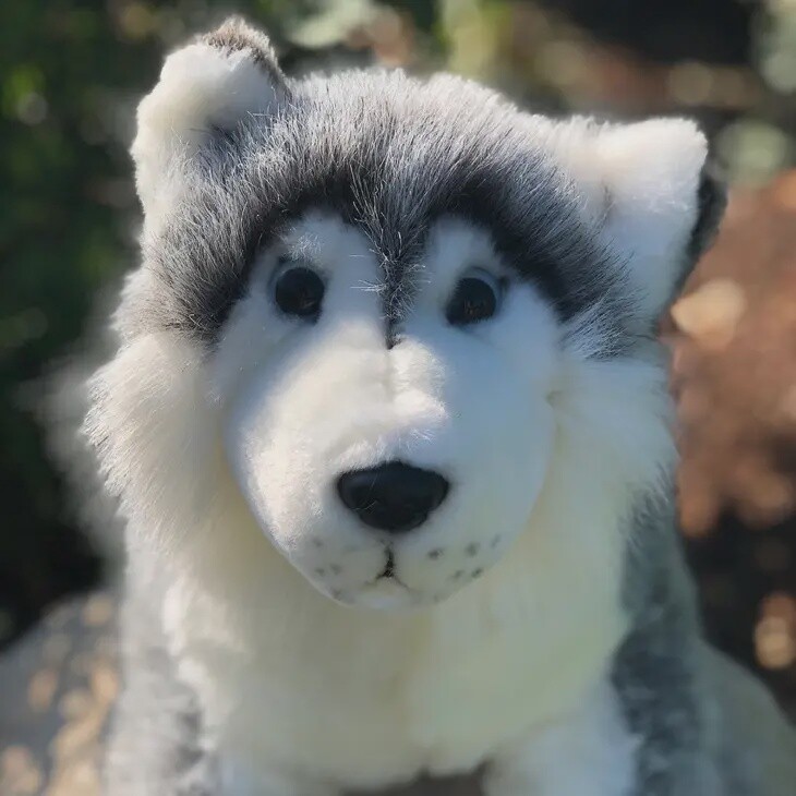 Laying Husky Stuffed Animal