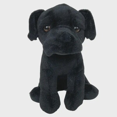 Black Lab