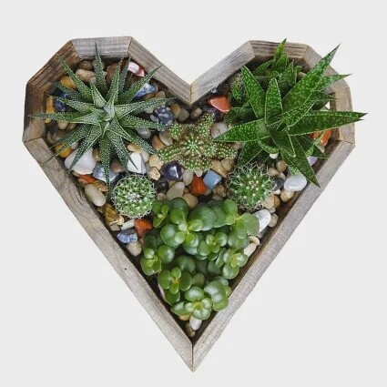 Adoring Gems