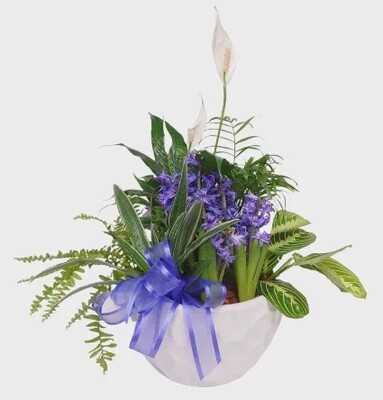 Sentiment Planter