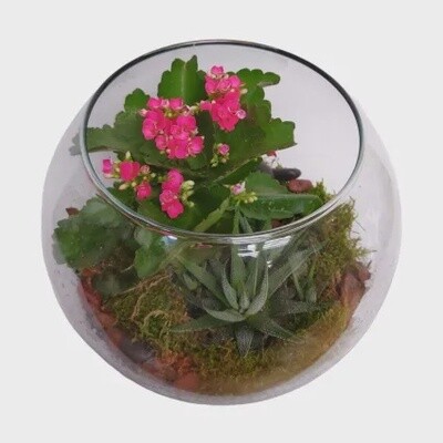 Blooming Terrarium