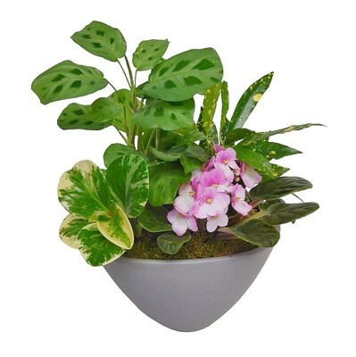 Joyful Dish Garden