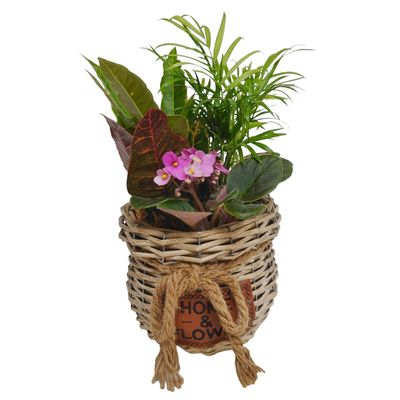 Home and Flowers Plant Basket