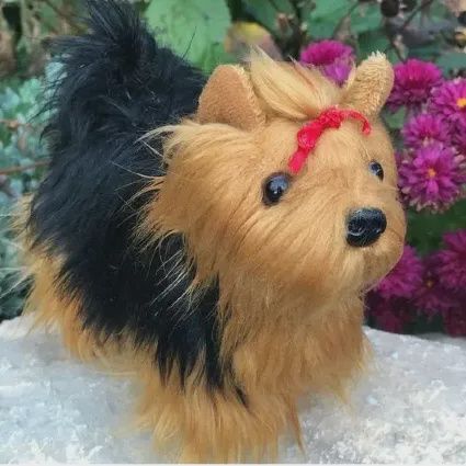 Terrier