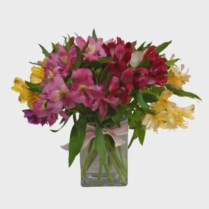 Summer Lilies