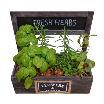 Fresh Cooking Herbs Wood box