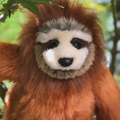 Sloth