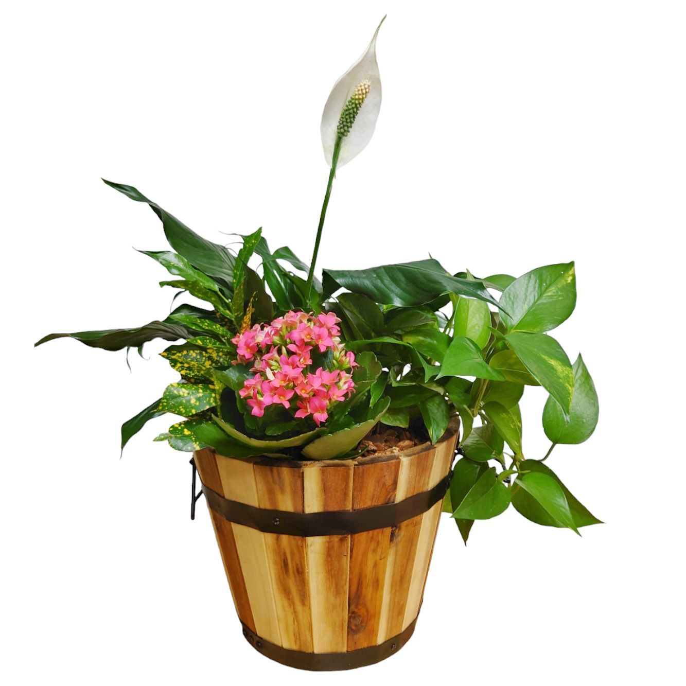 Exquisite  Barrel Planter