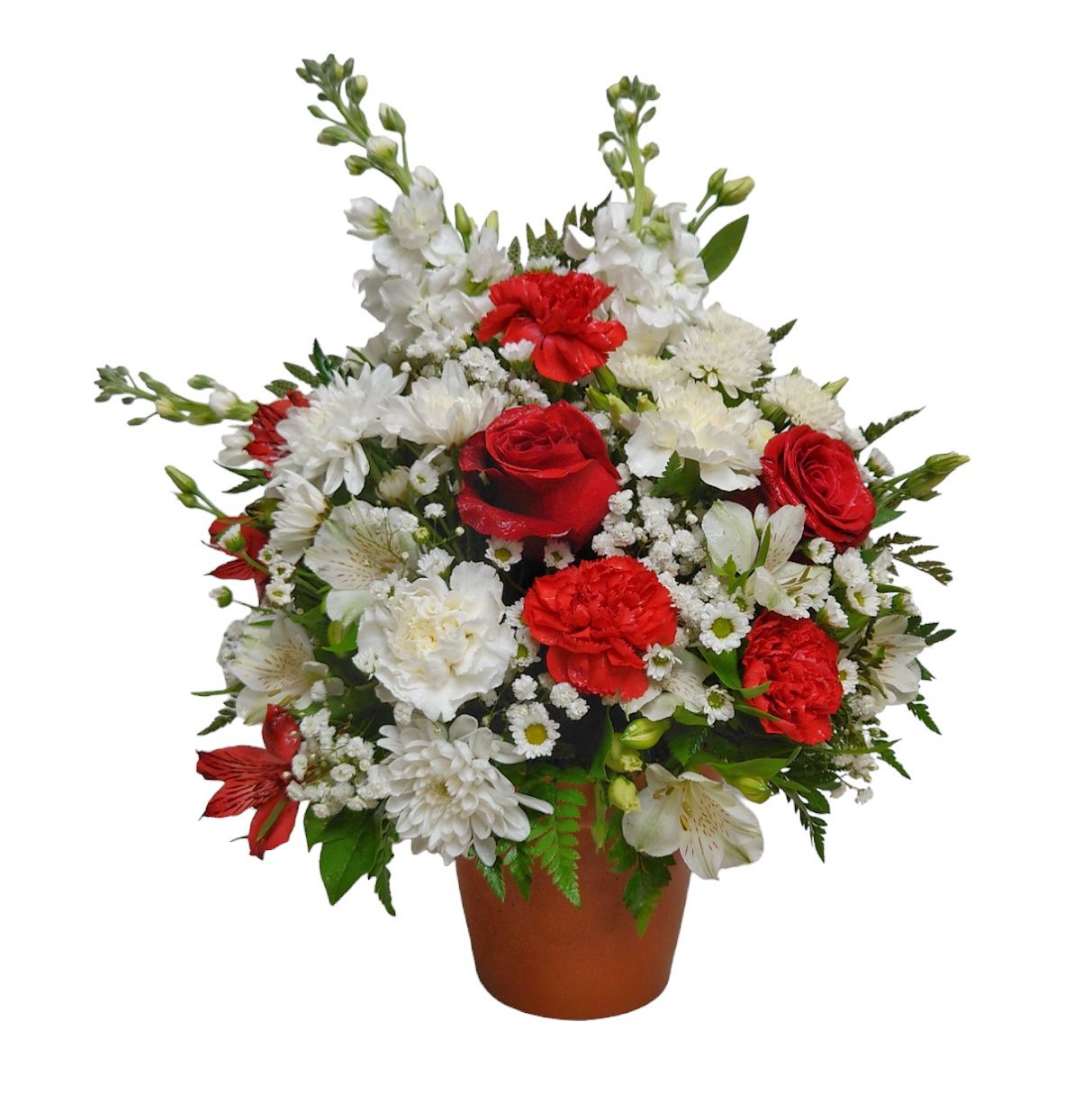 Crimson White Blossom