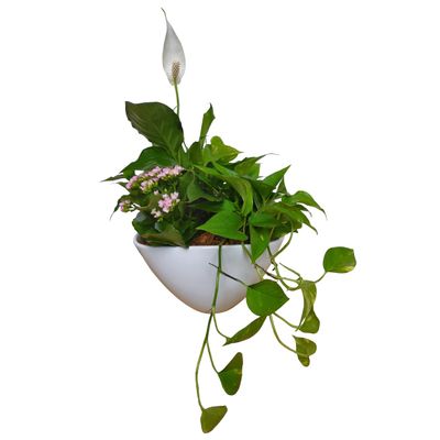 Symphony Planter