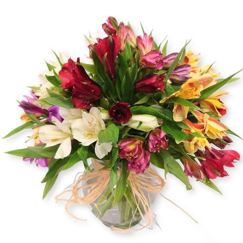 Country Peruvian Lilies