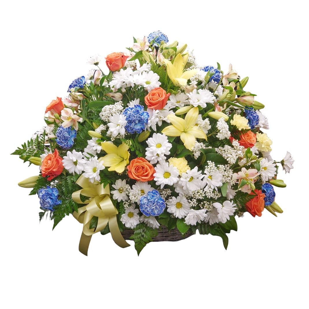 Radiant Blooms
