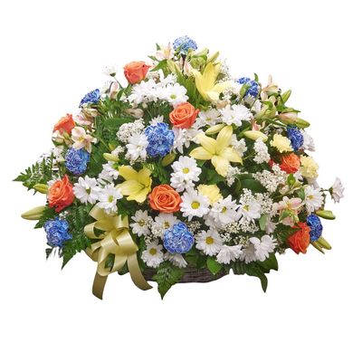 Radiant Blooms