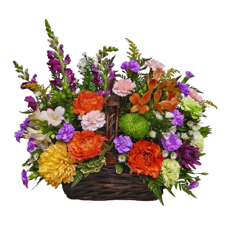 Flower Boxes and Baskets