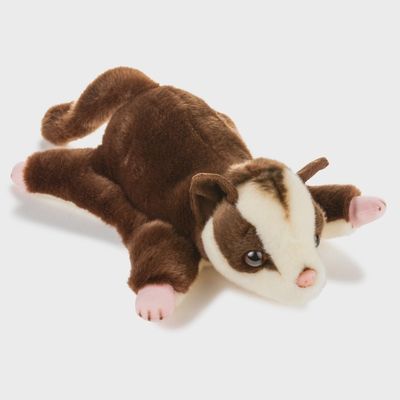 Sugar Glider