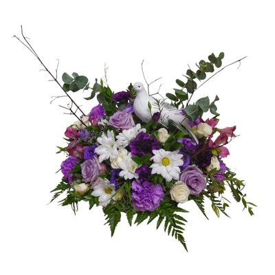 Comforting Dove Purple Accent