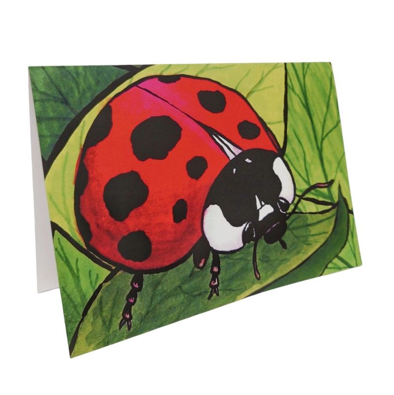 Ladybug Greeting Card