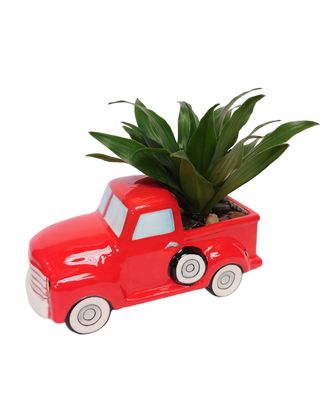 Truck Planter