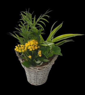 Tropical Wicker Basket