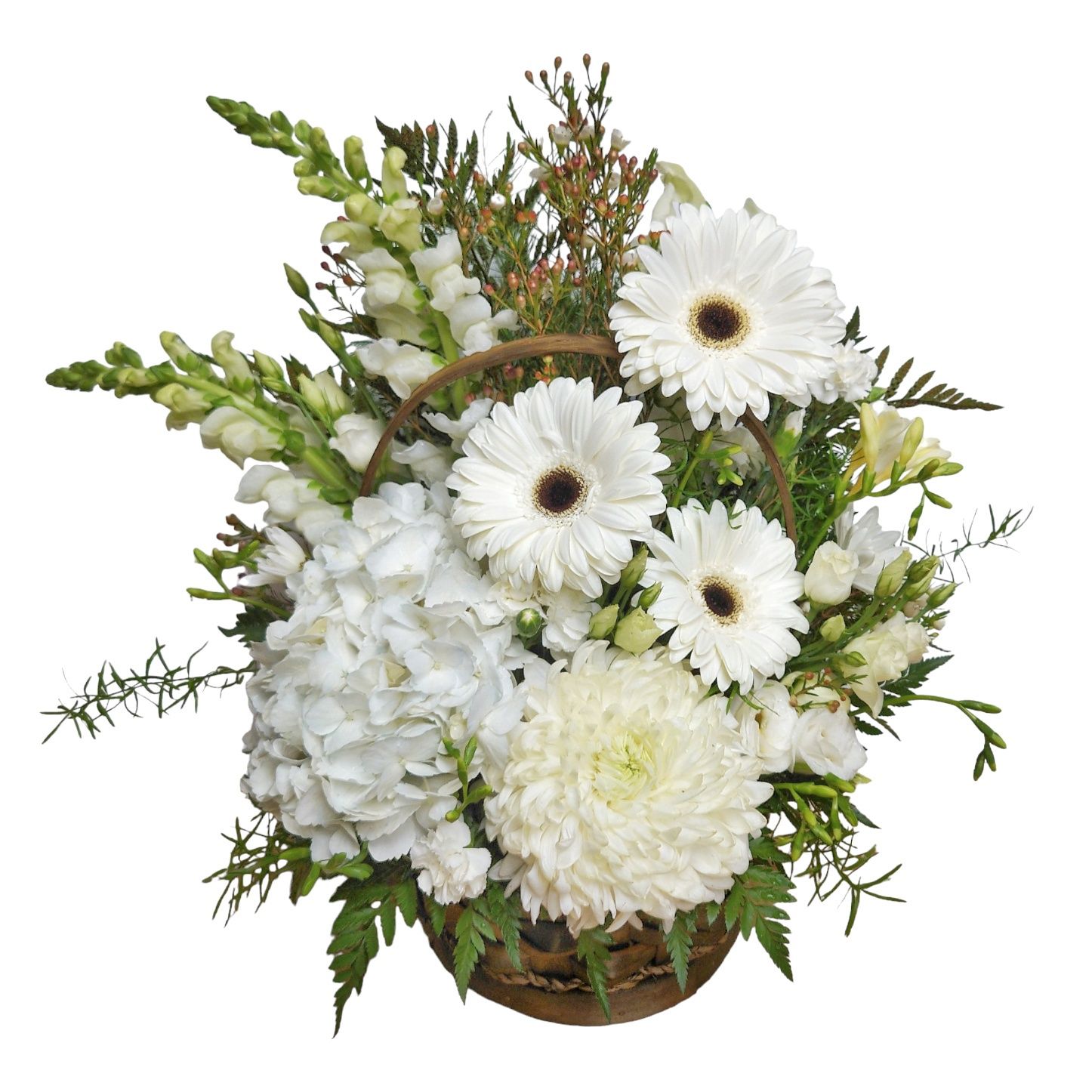 Glorious White
