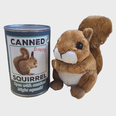 Canned Squirrel Stuffed Animal