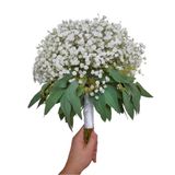 Gypsophila Bouquet