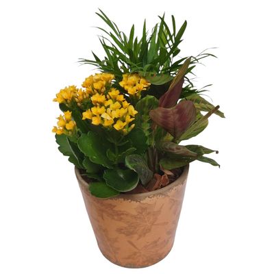 Autumn Planter