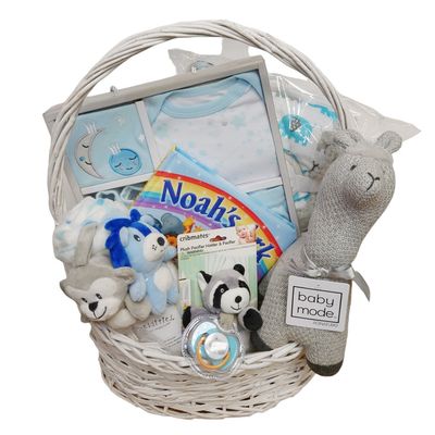 Baby Shower Boy Gift Basket