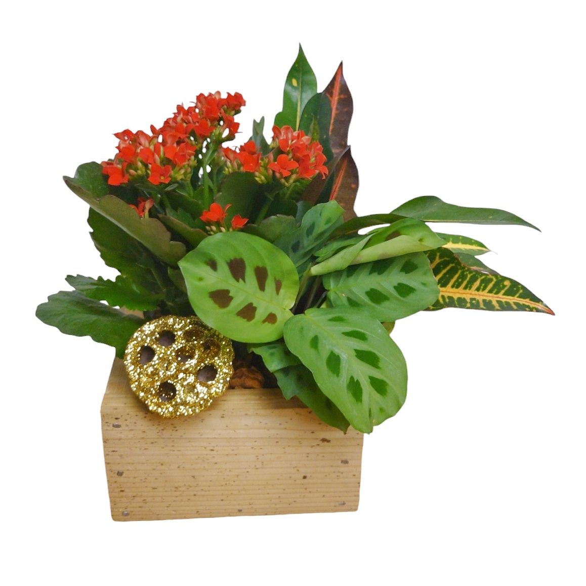 The Prayer Planter