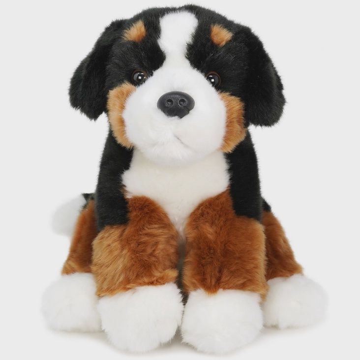 Bastien the Bernese Mountain Dog