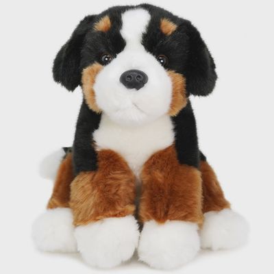 Bastien the Bernese Mountain Dog