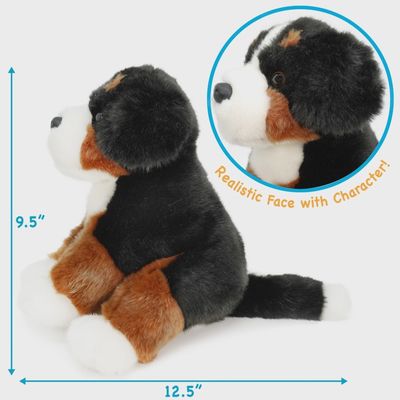 Bastien the Bernese Mountain Dog