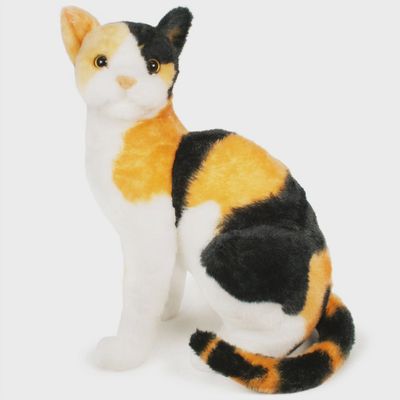 Catalina the Calico Cat