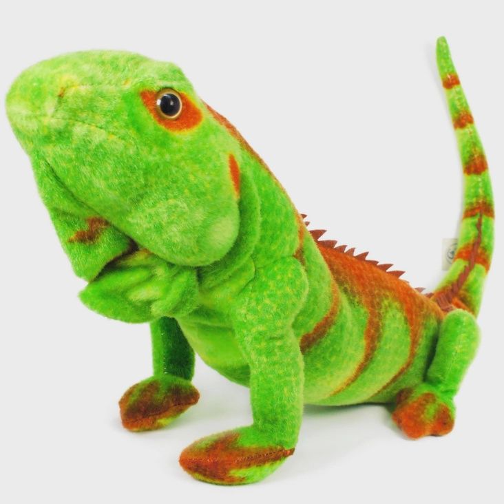 Iago the Iguana