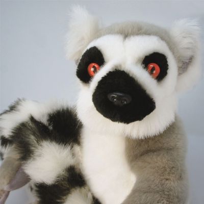 Ringo the Ring-Tailed Lemur