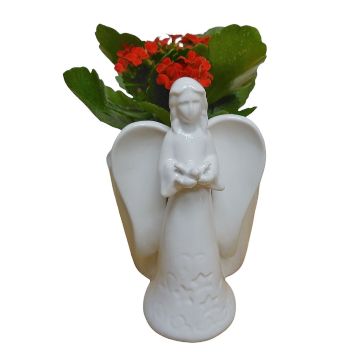 Angel Dish Garden
