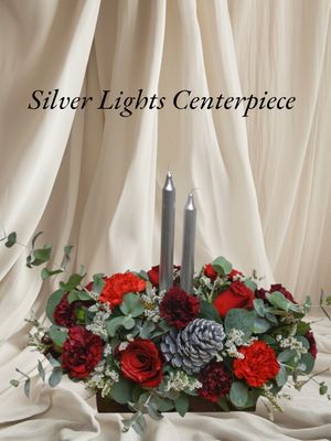Silver Lights