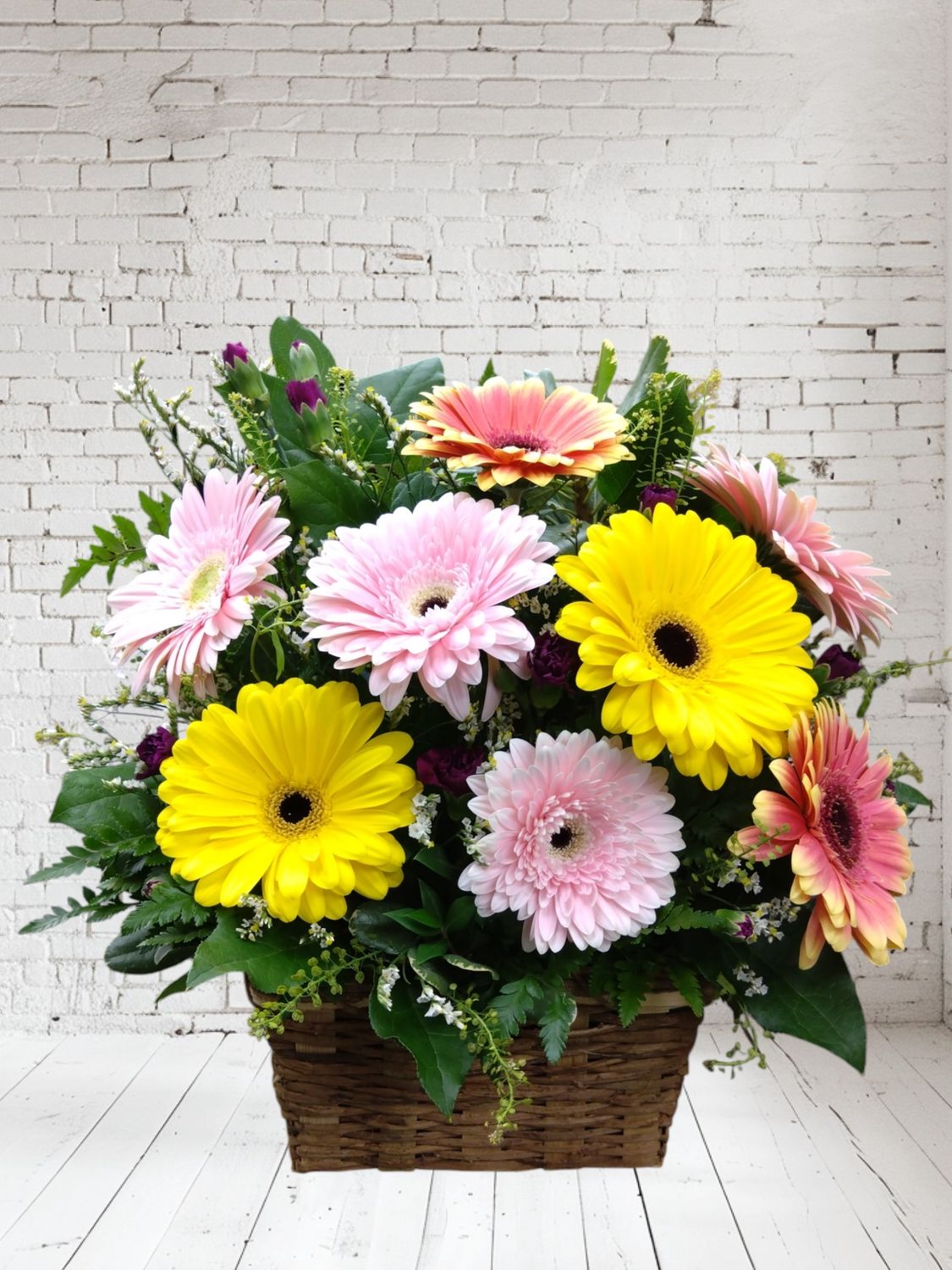 Garden Gerbera