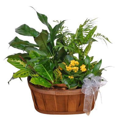 Tranquility  Garden Basket