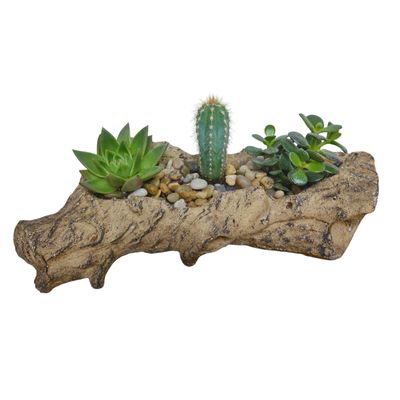 Cacti Log