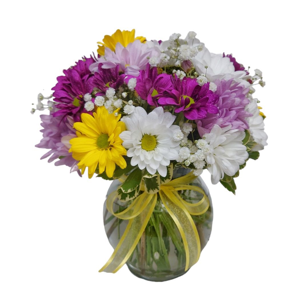 Colorful Daisies