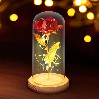 Eternal Red Rose Globe