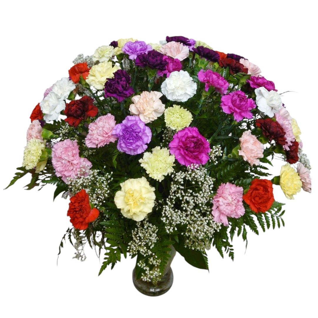 Splendid Carnations