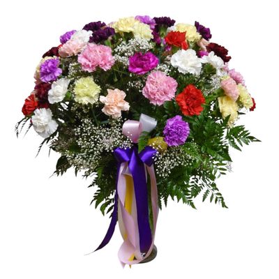 Splendid Carnations